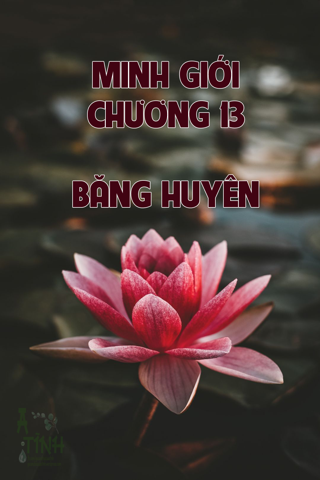MINH GIỚI – CHƯƠNG 13: BĂNG HUYÊN