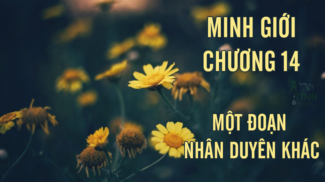 MINH GIỚI – CHƯƠNG 14: MỘT ĐOẠN NHÂN DUYÊN KHÁC